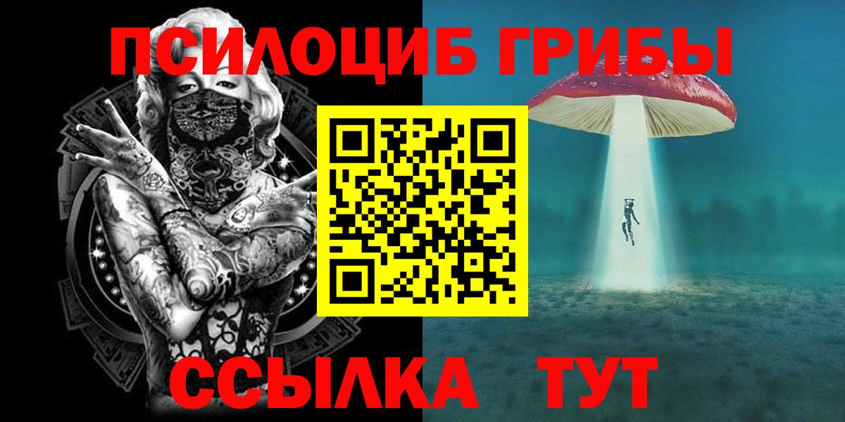 Галлюциногенные грибы Psilocybine cubensis  Вход с VPN  магазин продажи   Россошь  Галлюциногенные грибы мицелий 